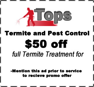Termite Coupon, Discount, Fort Worth, Texas area / www.topspestcontrol.com