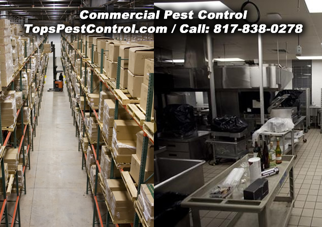 Residential Pest Control, Colleyville, Fort Worth, Saginaw and surrounding areas / www.topspestcontrol.com